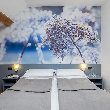 Terzolas Pippo Hotel מראה חיצוני תמונה